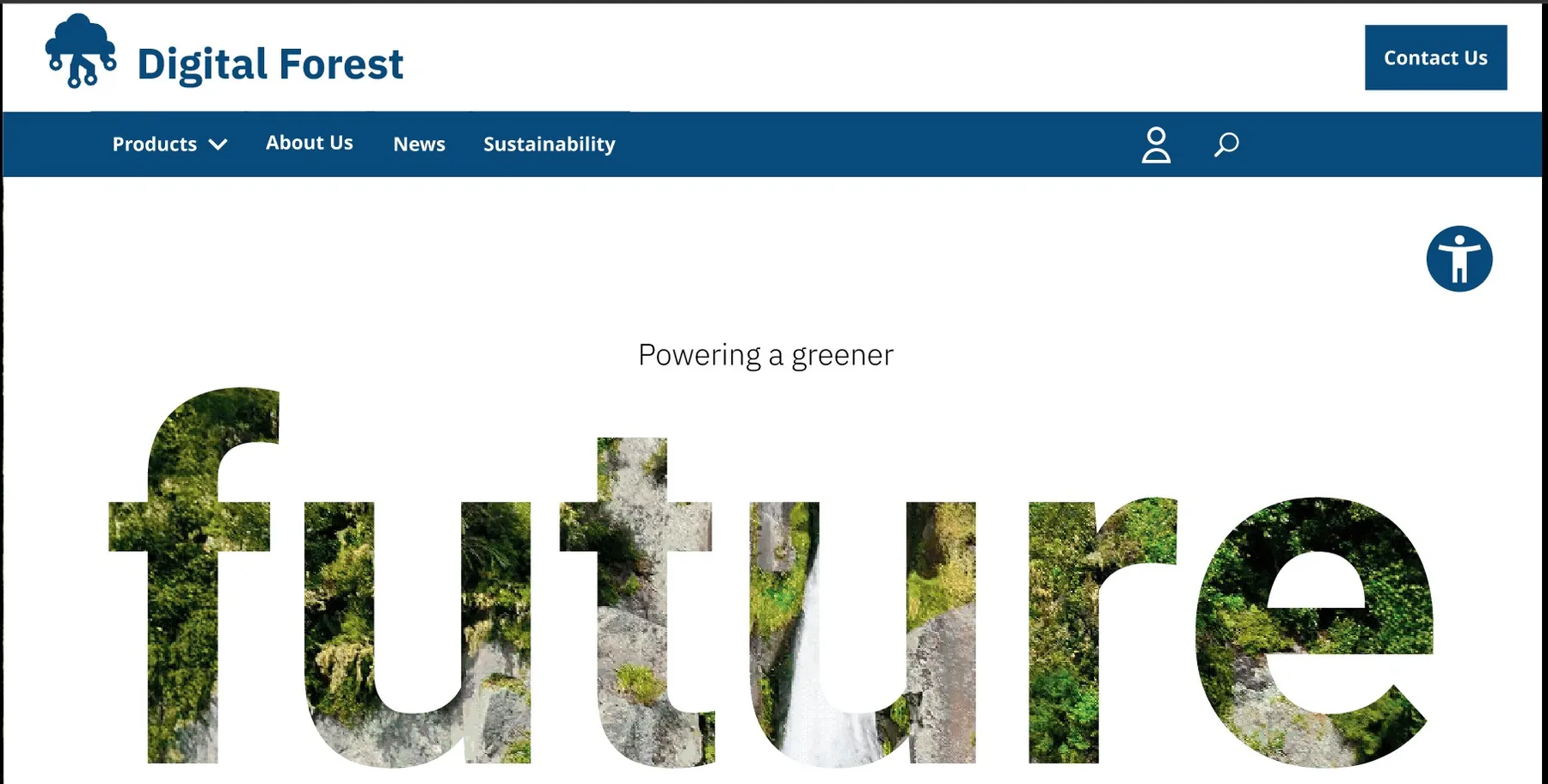 Digital Forest brand identity preview